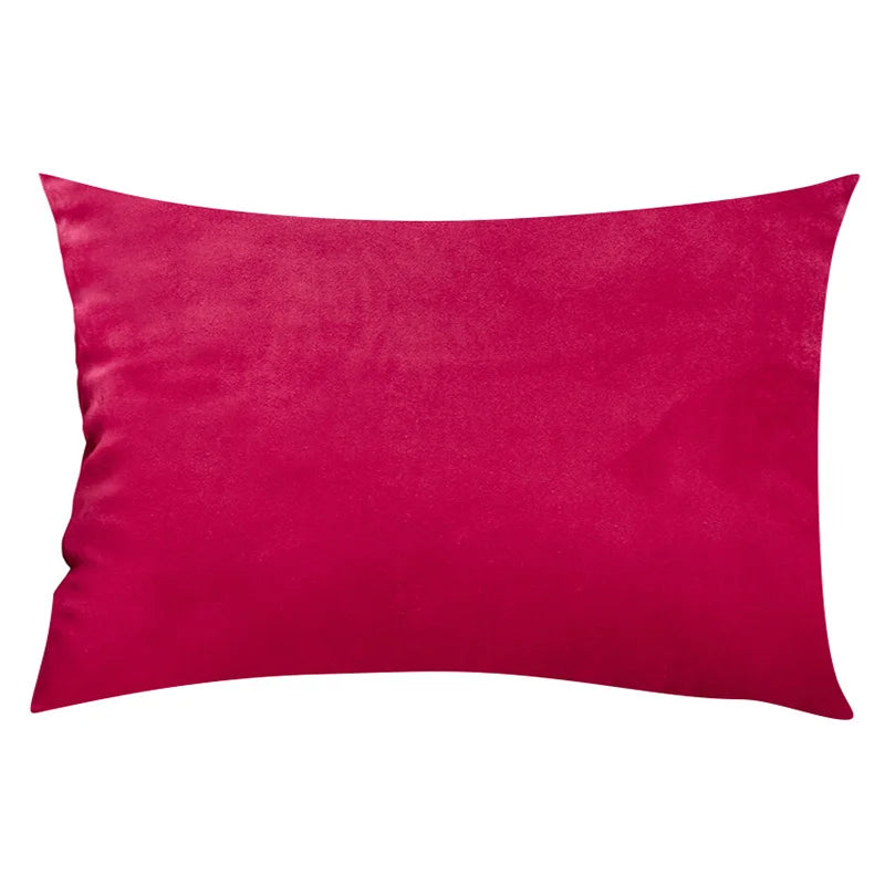 Housse de Coussin Carrée en Velours 30x50cm - Plusieurs Coloris