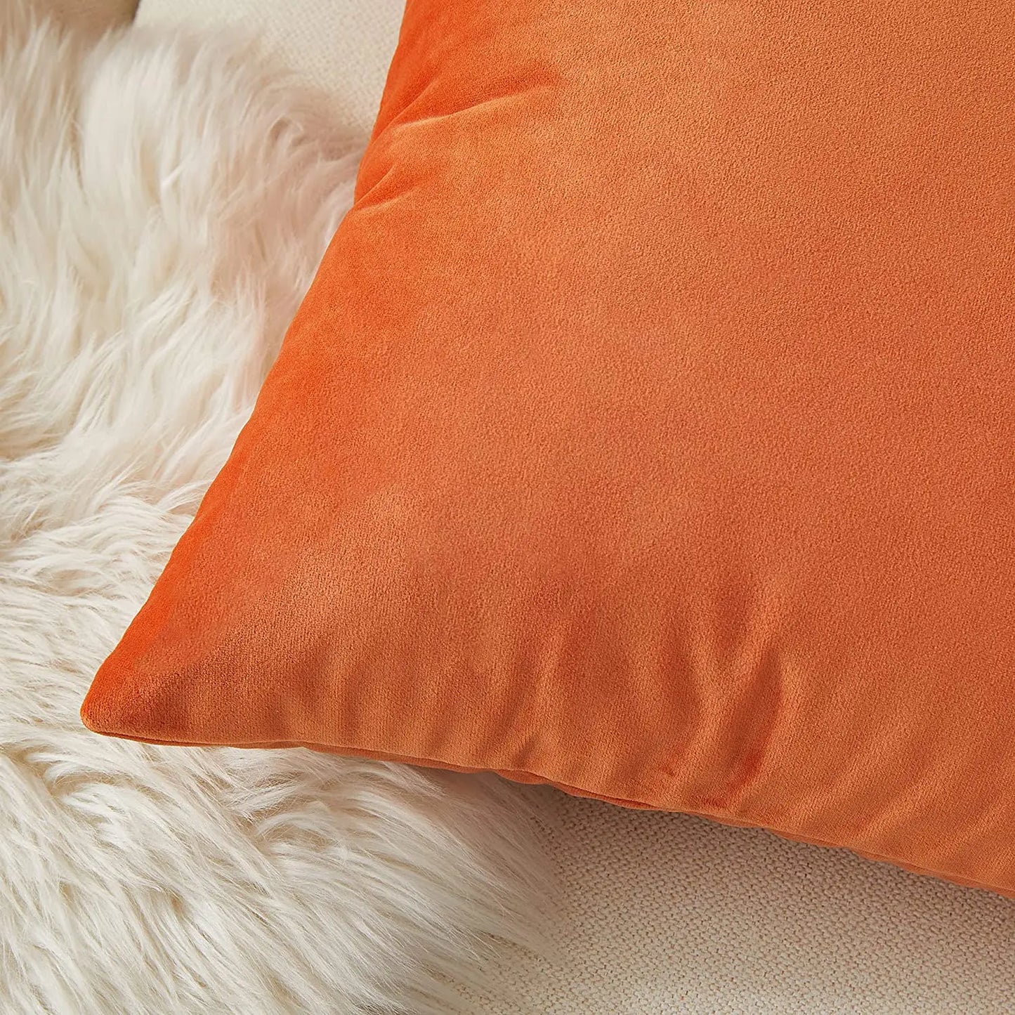 Housse de Coussin Carrée en Velours 30x50cm - Plusieurs Coloris