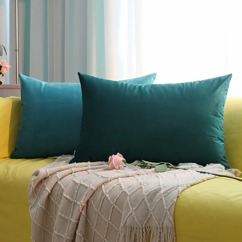 Housse de Coussin Carrée en Velours 30x50cm - Plusieurs Coloris