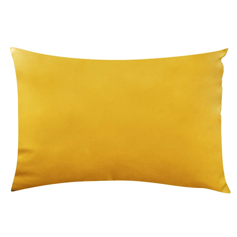Housse de Coussin Carrée en Velours 30x50cm - Plusieurs Coloris