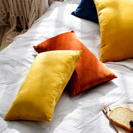 Housse de Coussin Carrée en Velours 30x50cm - Plusieurs Coloris